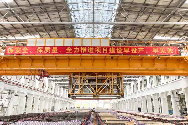 Multifunctional Crane for Electrolytic Copper